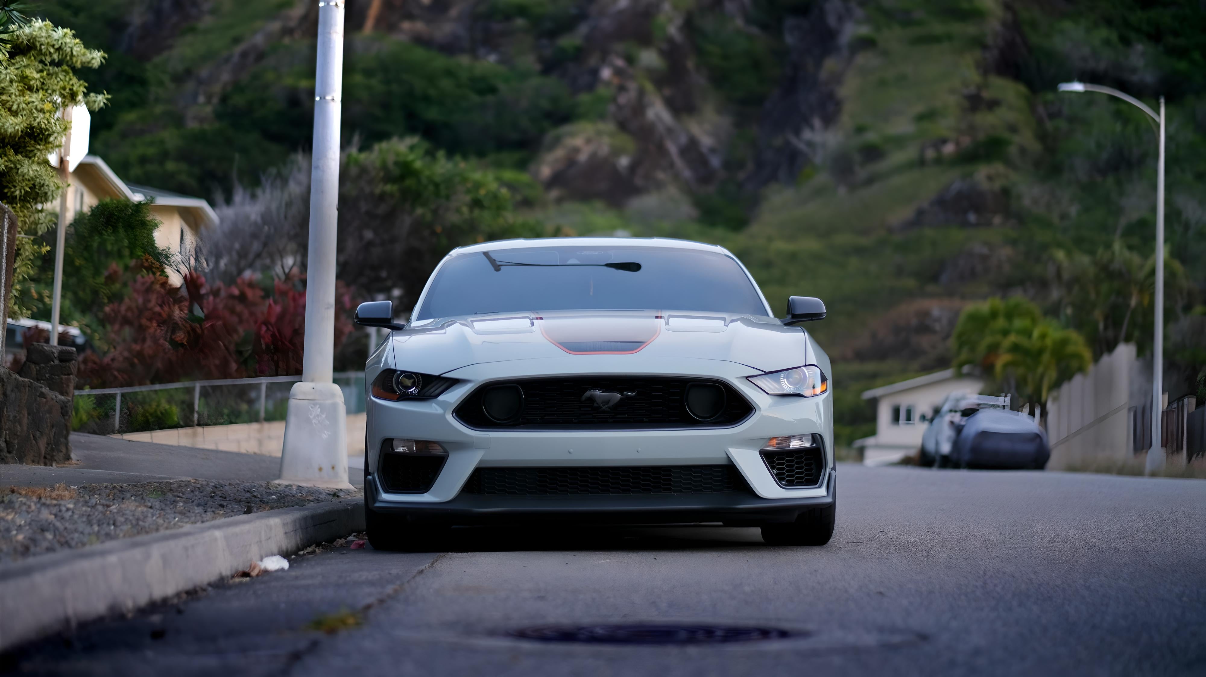 custom-slideshow-image-desktop-block_6rLhXr